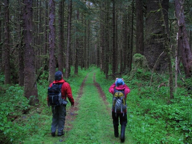Two building walking in the forest in Alaska.