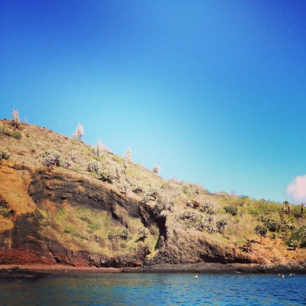 Snorkel excursion in Baja California. 