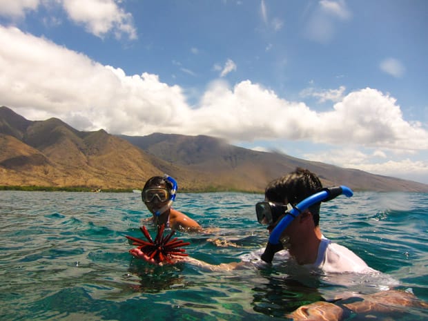 Snorkeling excursion on a small ship cruise in Hawaii. 