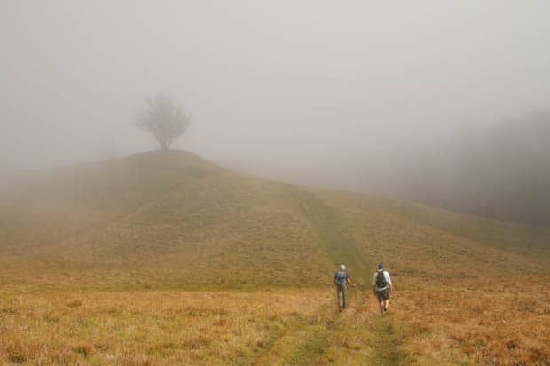 Two hikers walking through a field with a knoll and tree in the mist.