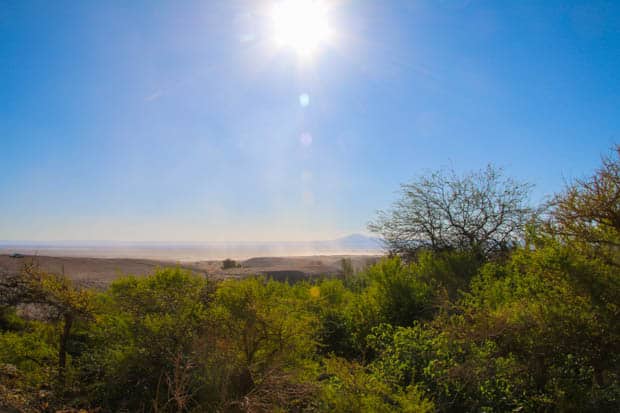 A desert view with green bushes in the foreground.