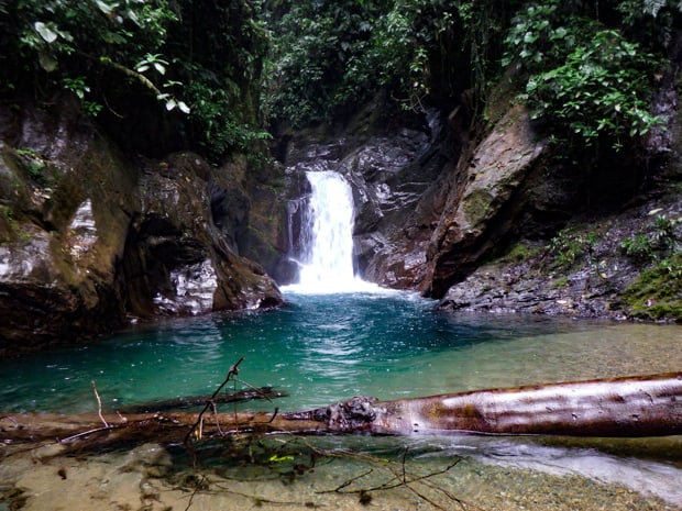A waterfall and deep blue pool of water in the rainforest.