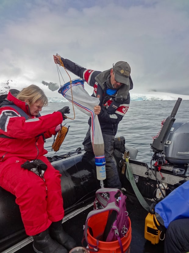 Guests participating in the citizen science program in a skiff from their small ship cruise to Antarctic.a