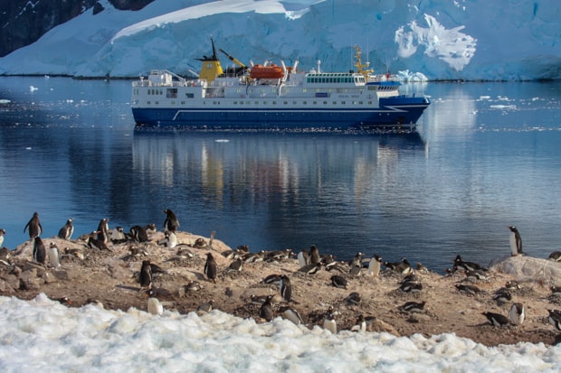 View from hiking tour of penguins and small expedition cruise ship in the bay in Antarctica.