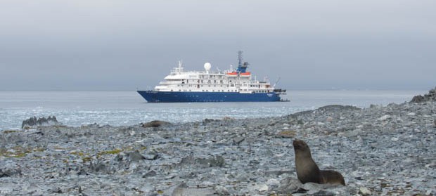 Small expedition ship in Antarctica with seal on rocky beach in front. 