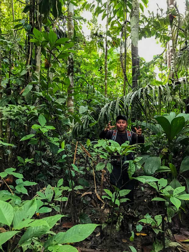 A guide from the Anakonda ship in the jungle.