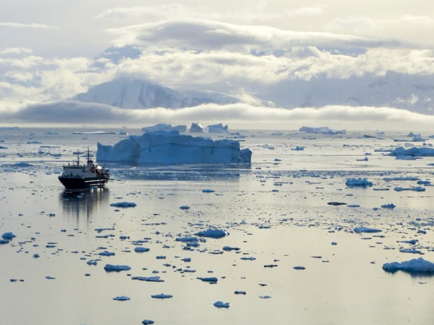 A lone ship sailing around calm waters with icebergs large and small.