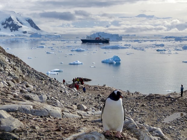 People hiking close to penguins with their small ship in the background among icebergs.