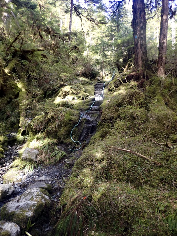 A rope to help hikers up the slippery wet rocks on a forest hike in Alaska.
