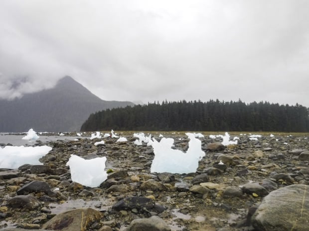 Ice on the rocky shore outside of Le Conte Glacier in Alaska.