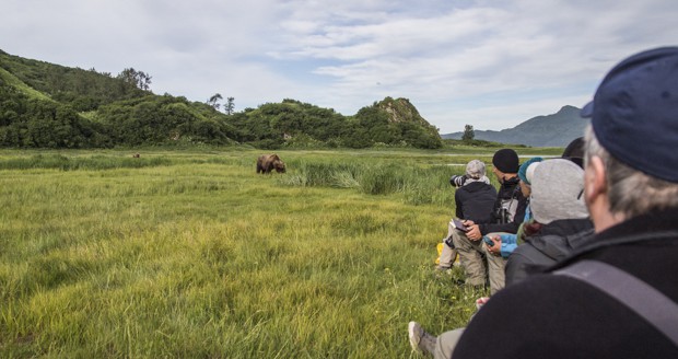 Guests on a land tour viewing and taking pictures of a grizzly bear in a field in Katmai Alaska.