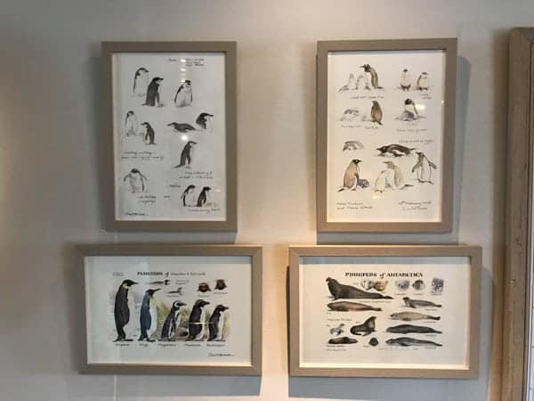 artwork and decor hanging from the wall inside a hallway of hebridean sky polar expedition ship