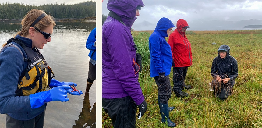 Two photos, the left image showing a naturalist guide holding a starfish in her gloved hands. The right the guide is kneeling down talking to three cruise guests.