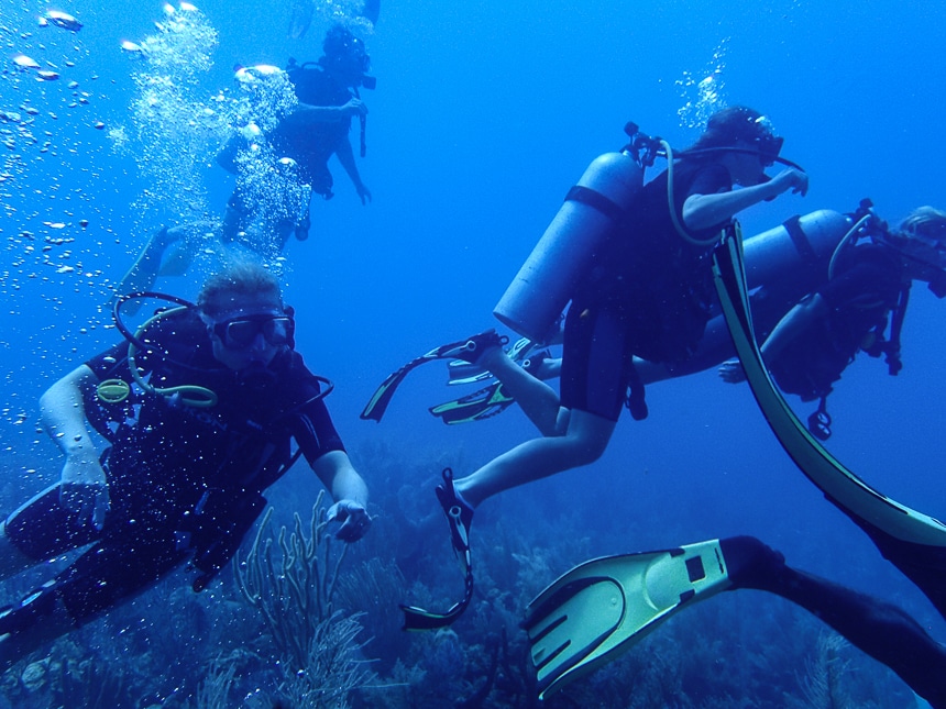 A group of scuba divers swim above coral through the clear blue ocean water of the Belize barrier reef.