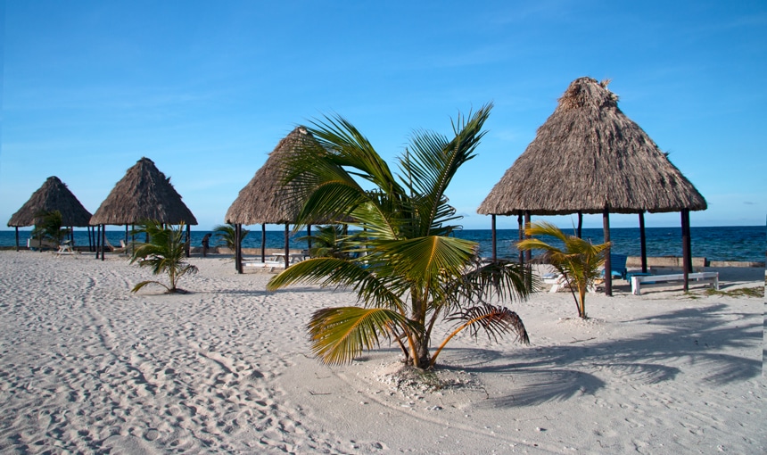 On a blue sky sunny day in Belize 4 ocean front thatched roof cabanas create shade over lounge chairs and tables on the sandy beach in Belize.