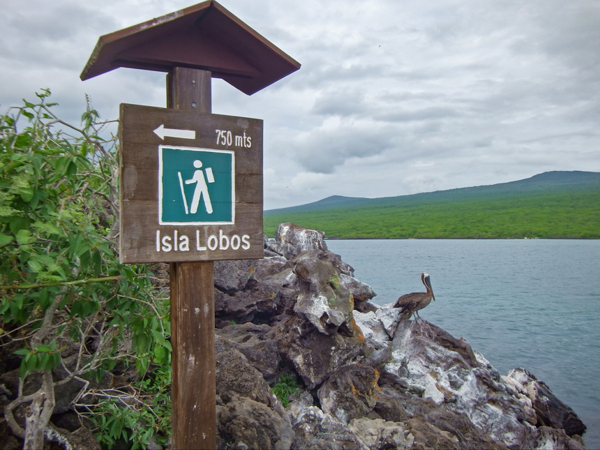 A brown wood sign says Isla Lobos with direction arrow and miles stands along rocky shoreline with pelican resting in distance.