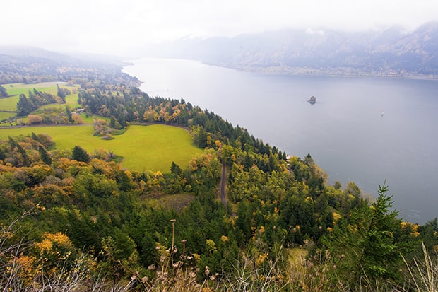 Autumn landscape and fall colors on a Pacific Northwest river cruise.