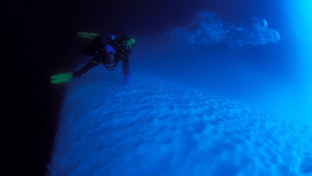 an underwater photo from an Antarctica activity, polar diving, a unqiue way to experience Antarctica, offered on a small ship cruise.