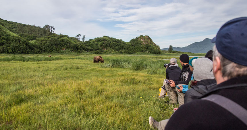 Guests on a land tour viewing and taking pictures of a grizzly bear in a field in Katmai Alaska.