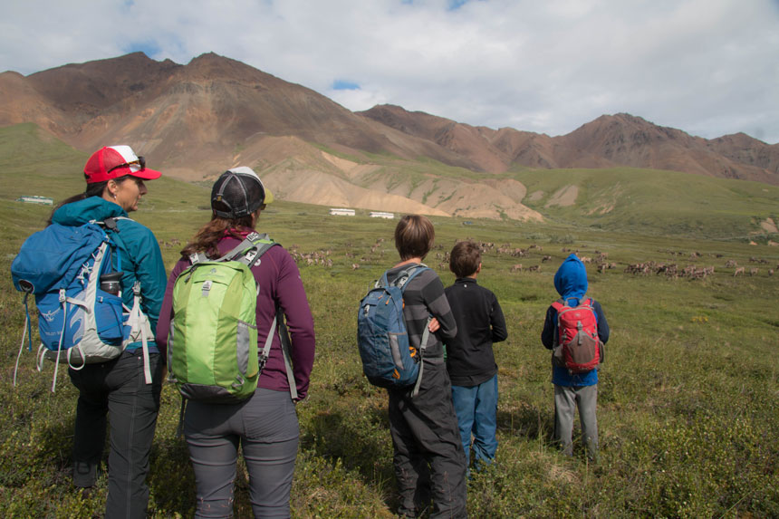 A family group of two women and three young boys stands in a field in Denali Alaska amid caribou with buses seen on the road in the distance