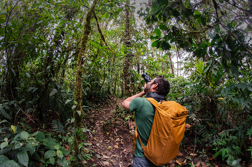 Man in orange backpack stands in dense rainforest in Amazon and take photo of canopy of green trees above him