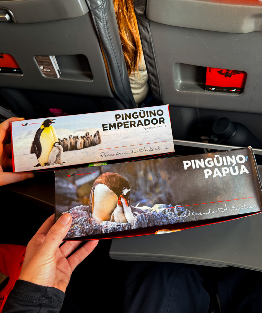 Two meal boxes aboard DAP flight to Antarctica. Boxes decorated with different penguin species.