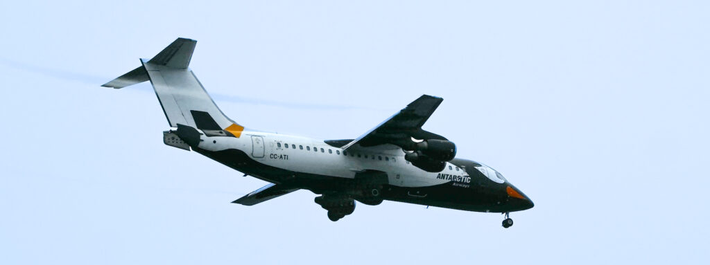 DAP airplane flying through sky, painted like a Gentoo penguin with white patches, black body and orange markings on face and tail.