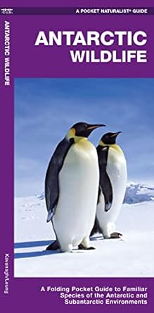 Pocket guide front cover of Antarctic Wildlife: A Folding Pocket Guide to Familiar Species of the Antarctic and Subantarctic Environments by James Kavanaugh