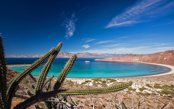 A perfect circle bay in Baja California seen with cactus in the foreground and a small ship ship out in the bay