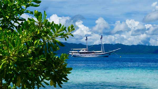 A two-masted Indonesia sailing ship sits at anchor in bright blue water with green tree leaves in the foreground
