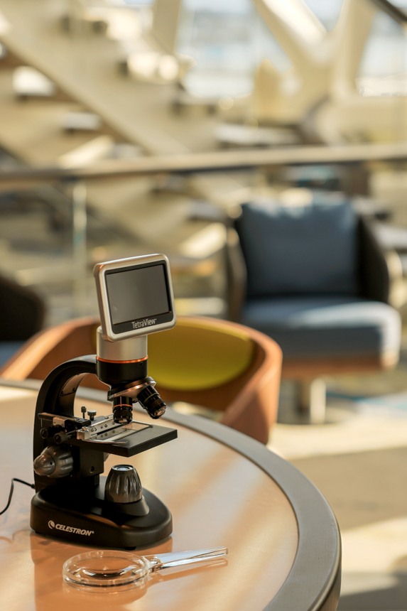 microscope on a desk in the citizen science lab with lounge seats in the background and light shining through 