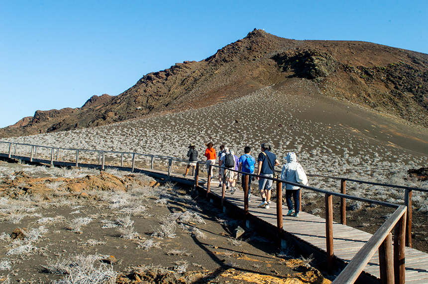 On a blue sky day a group of Galapagos travelers walk on a wooden pathway up through volcanic landscape.