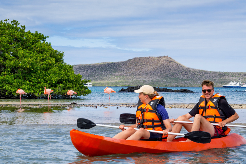Kayakers Exploring the Galapagos next to pink flamingos on the beach off small cruise ships in the background 