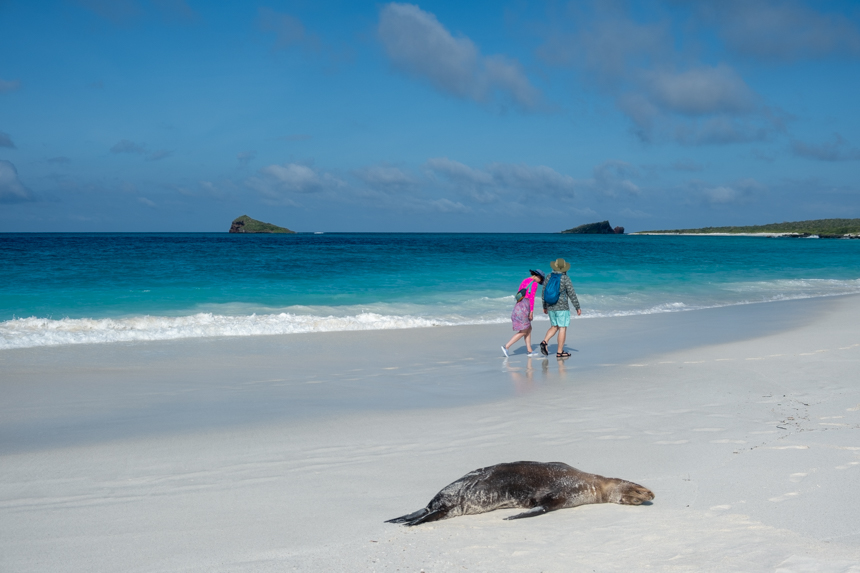 Couple walking on the beautiful white beach of Galapagos with bright blue waters and green lush landscapes 