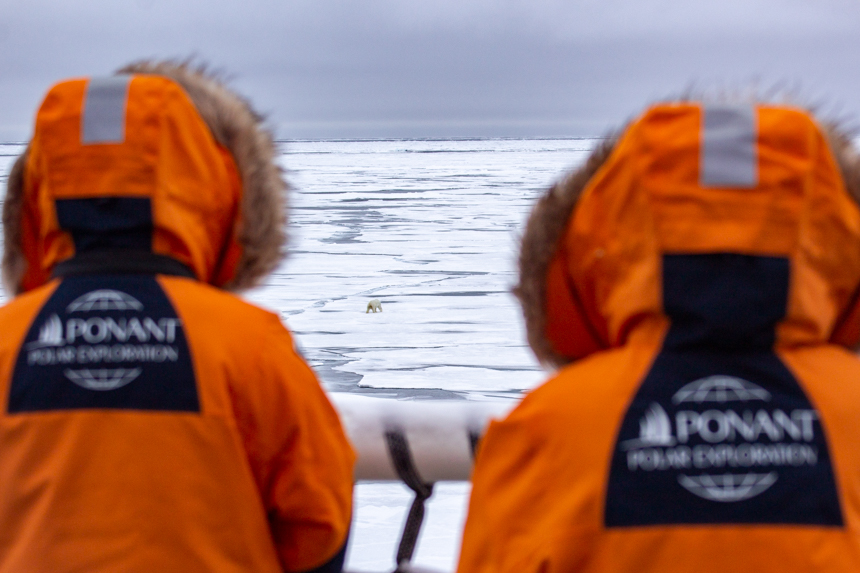 From the ship two travelers in hooded orange parkas watch a polar bear walk along the never ending ice sheet below them.
