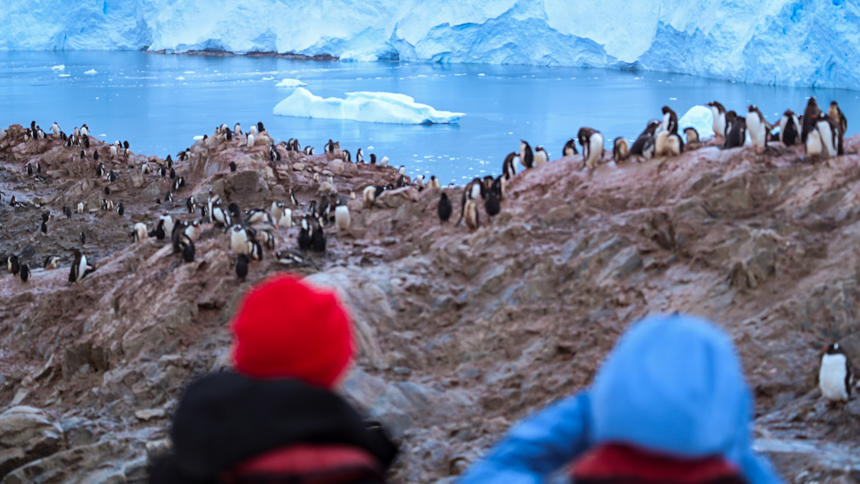 Guests exploring Antarctica penguin colony on a rainy day with penguins and a glacier off in the distance