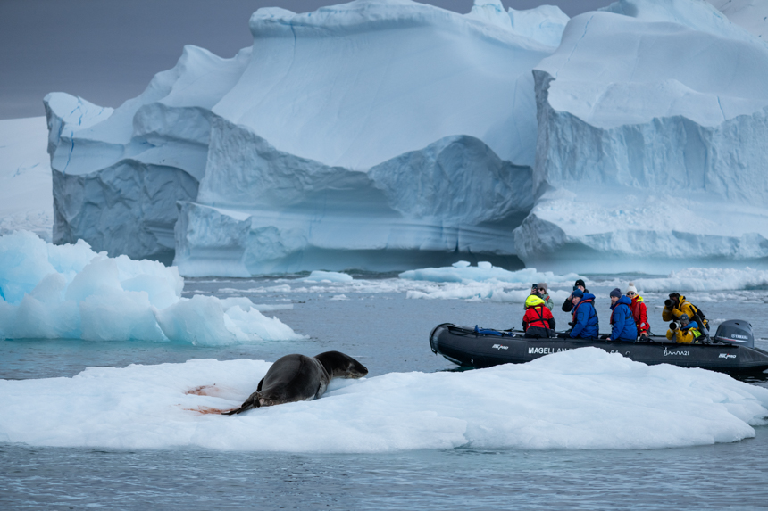 Large iceberg with leopard seal resting and zodiac with travelers off in Antarctica with ice around on a cloudy day
