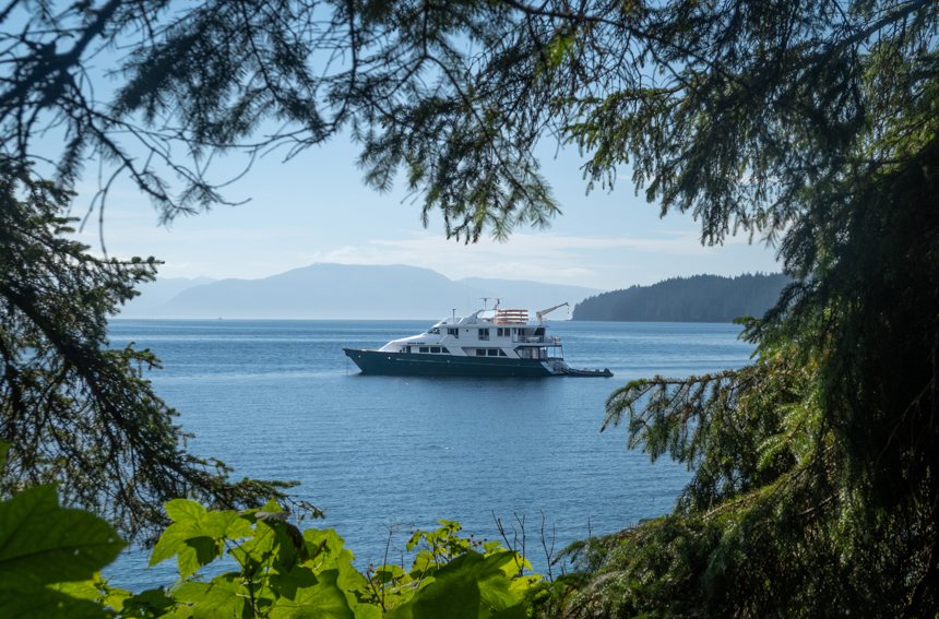 Framed by green tree branches, the 22-guest Safari Quest ship rests at anchor in a quiet blue bay in Alaska.