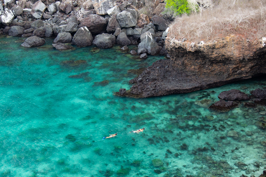 A photo from above looking down and over two women snorkeling in crystal teal water of Galapagos.