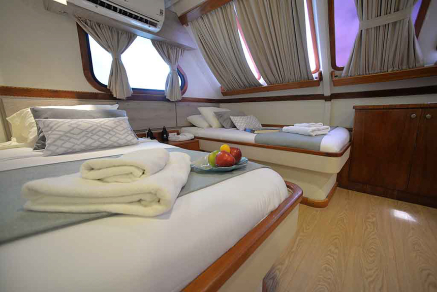 Cabin 1 aboard Seaman Journey at the front of the ship with two angled walls and windows.