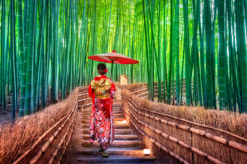 Woman in red kimono carrying a parasol walks up stairway among tan grasses & tall, green bamboo stalks on a small ship cruise in Japan.