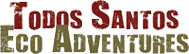 Todos Santos Eco Adventures logo, red and green.