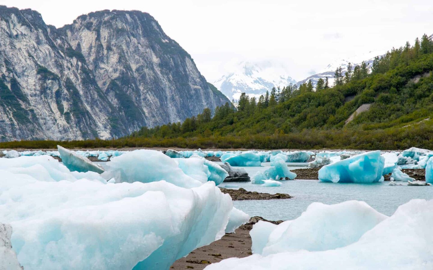 field of small iridescent blue icebergs on the ground with a green forest beyond them and large snowy mountains in the distance on an overcast day in alaska
