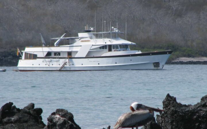 beluga galapagos small ship anchored on calm water with rocks in the foreground