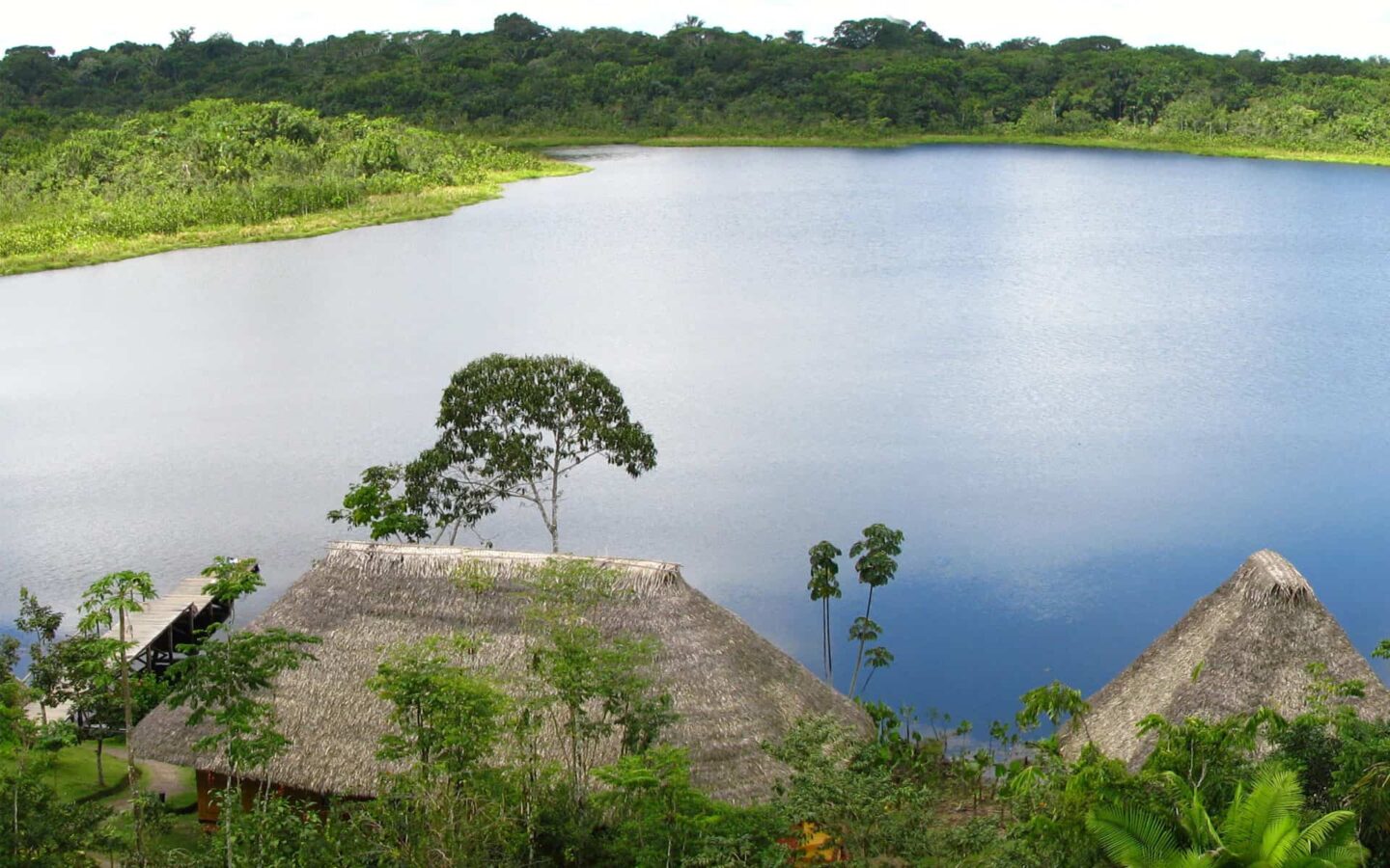 looking down on napo wildlife center on an amazon land tour