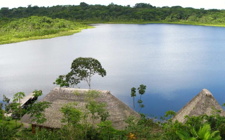 looking down on napo wildlife center on an amazon land tour