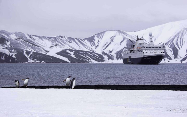 Penguins walking along a beach with a small ship in the background in Antarctica.