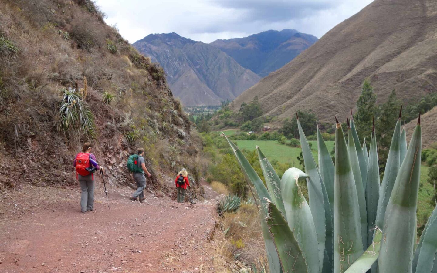 adventure travelers hiking from lares to machu picchu with a valley extending in front of them and a large succulent plant in the foreground