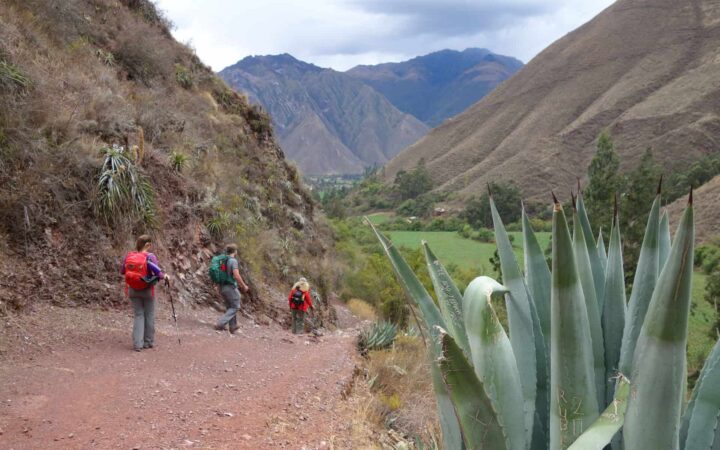adventure travelers hiking from lares to machu picchu with a valley extending in front of them and a large succulent plant in the foreground
