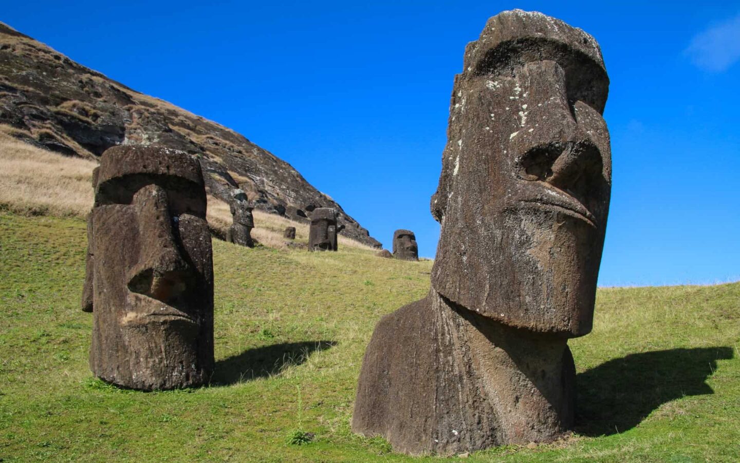Two large Moai statues in Rapa Nui/ Easter Island Chile with green grass and blue sky.
